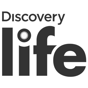 discovery live gray scale